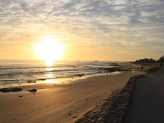 Bayside Guesthouse Port Elizabeth Esterno foto